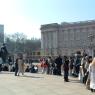 buckingham_palace5