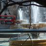 fountain