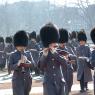 guards_band4