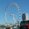 the_eye