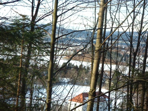 castle behind trees