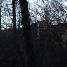 castle behing trees