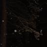 DSCF0013