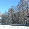 DSCF0015