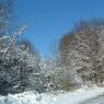 DSCF0016