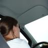 back of sandra