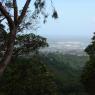 honolulu from mountian 2