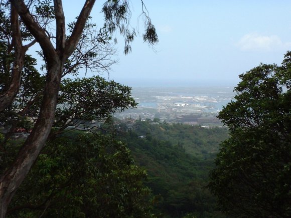 honolulu from mountian 2