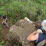 climb down