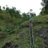 rope bridge