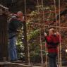 Picture_10300_taken_on_2011-10-23_125437