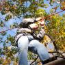 Picture_10391_taken_on_2011-10-23_124742