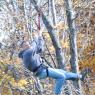 TREE CLIMBING